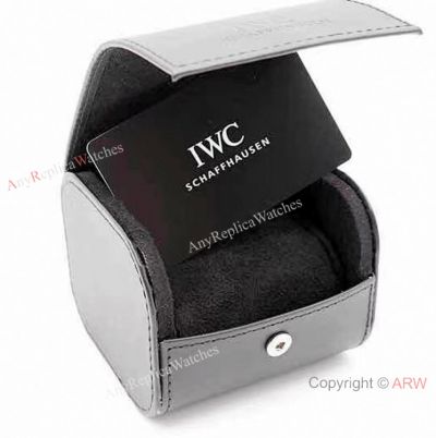 Replica IWC Leather Watch Box Small Watch Travel Case